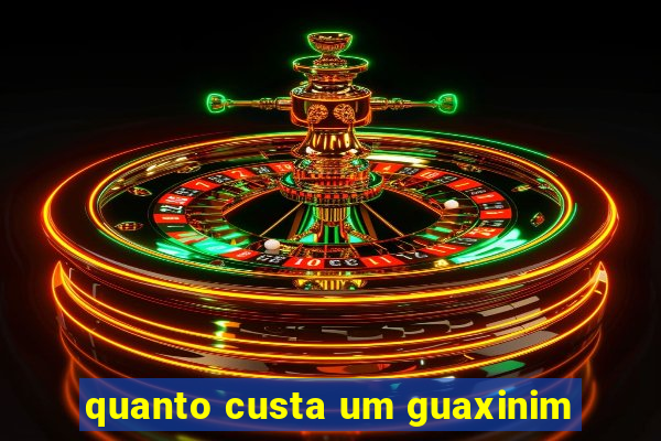 quanto custa um guaxinim